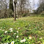 Appartement La Gesualda Locazione Turistica *