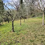 La Gesualda Locazione Turistica * קסטלנואובו מגרה