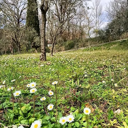 Appartamento Locazione Turistica La Gesualda *