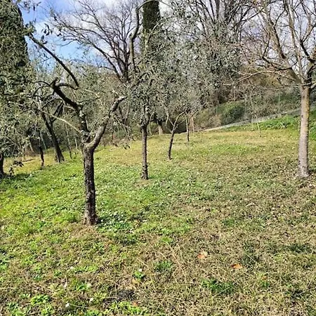 Locazione Turistica La Gesualda * Castelnuovo Magra