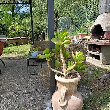 Locazione Turistica La Gesualda Apartment Castelnuovo Magra