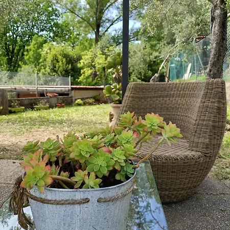 Locazione Turistica La Gesualda Apartment