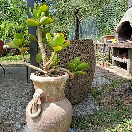 Locazione Turistica La Gesualda