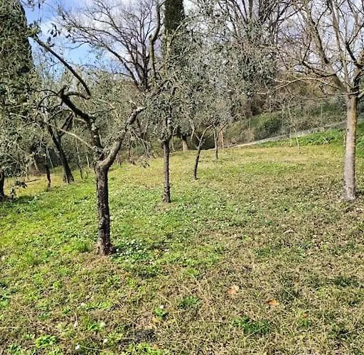 La Gesualda Locazione Turistica * Castelnuovo Magra